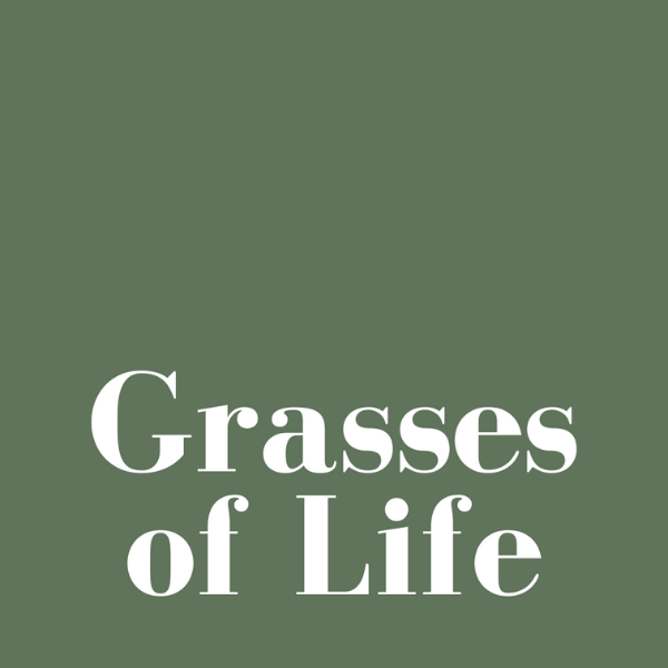 Grasses of Life Super Detox Foods